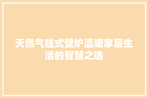 天然气挂式壁炉温暖家居生活的智慧之选 综合便民