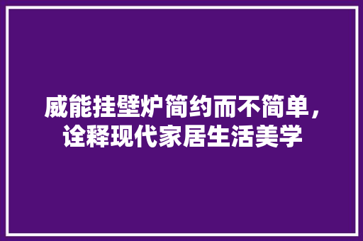 威能挂壁炉简约而不简单，诠释现代家居生活美学 厨房维修