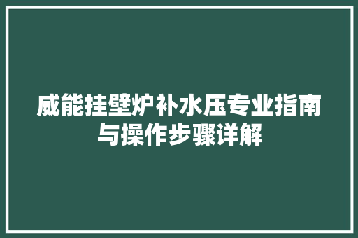 威能挂壁炉补水压专业指南与操作步骤详解 厨房维修
