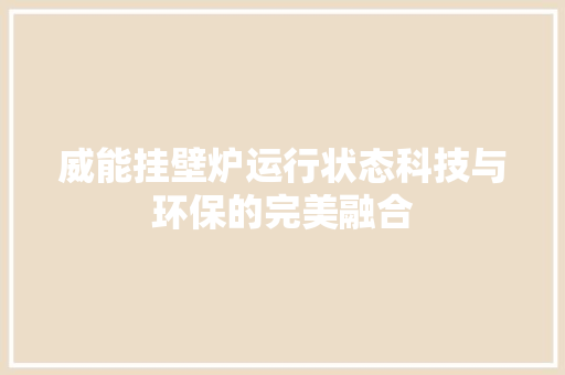 威能挂壁炉运行状态科技与环保的完美融合 综合便民