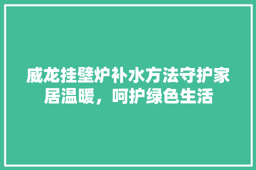 威龙挂壁炉补水方法守护家居温暖，呵护绿色生活 厨房维修