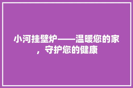 小河挂壁炉——温暖您的家，守护您的健康 厨房维修