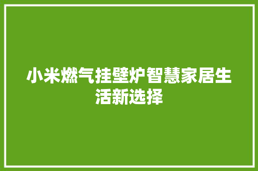 小米燃气挂壁炉智慧家居生活新选择 墙体维修