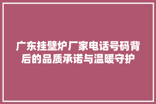 广东挂壁炉厂家电话号码背后的品质承诺与温暖守护 综合便民