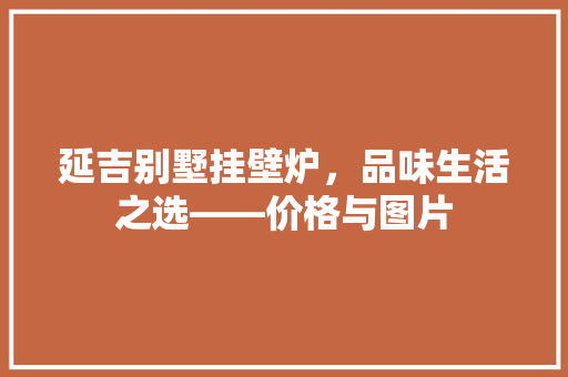 延吉别墅挂壁炉，品味生活之选——价格与图片 家电维修