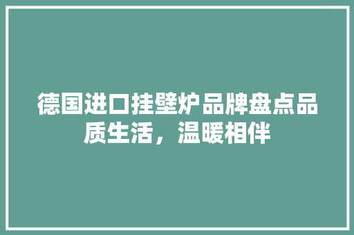 德国进口挂壁炉品牌盘点品质生活，温暖相伴 厨房维修