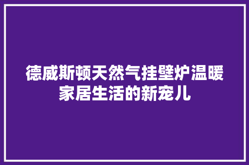 德威斯顿天然气挂壁炉温暖家居生活的新宠儿 综合便民