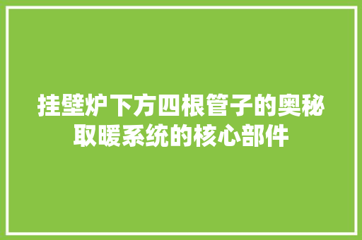 挂壁炉下方四根管子的奥秘取暖系统的核心部件 厨房维修