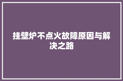 挂壁炉不点火故障原因与解决之路 综合便民