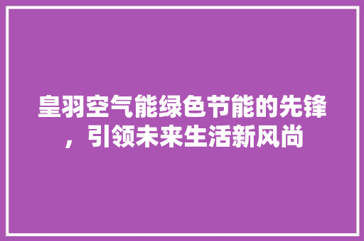 皇羽空气能绿色节能的先锋，引领未来生活新风尚