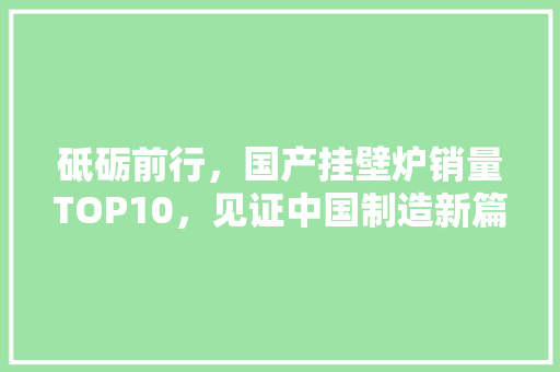 砥砺前行，国产挂壁炉销量TOP10，见证中国制造新篇章