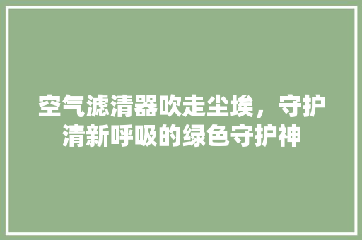 空气滤清器吹走尘埃，守护清新呼吸的绿色守护神