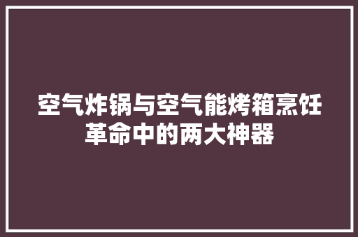 空气炸锅与空气能烤箱烹饪革命中的两大神器