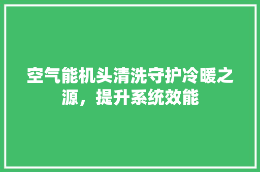 空气能机头清洗守护冷暖之源，提升系统效能 汽车维修