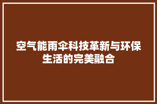 空气能雨伞科技革新与环保生活的完美融合 厨房维修