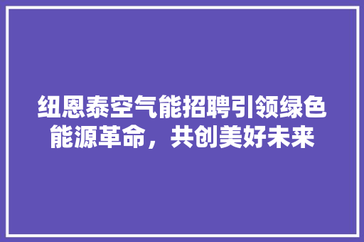 纽恩泰空气能招聘引领绿色能源革命，共创美好未来 汽车维修