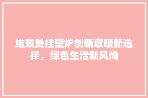 维兹曼挂壁炉创新取暖新选择，绿色生活新风尚