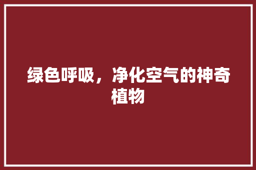 绿色呼吸，净化空气的神奇植物