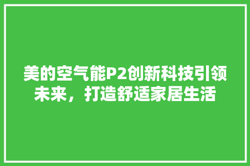 美的空气能P2创新科技引领未来，打造舒适家居生活