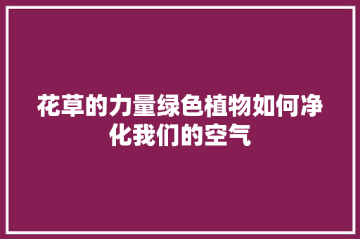 花草的力量绿色植物如何净化我们的空气