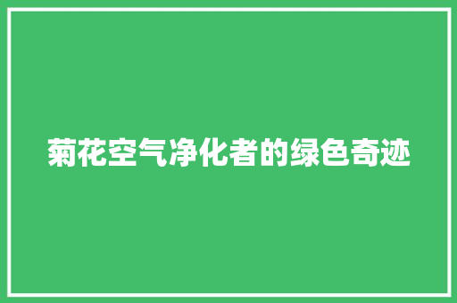 菊花空气净化者的绿色奇迹