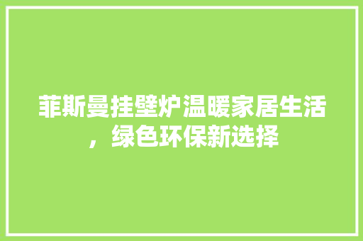 菲斯曼挂壁炉温暖家居生活，绿色环保新选择