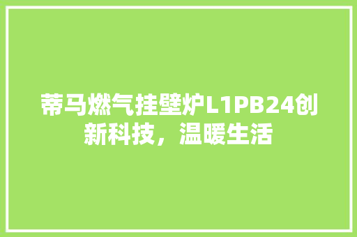 蒂马燃气挂壁炉L1PB24创新科技，温暖生活