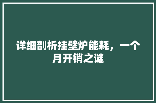 详细剖析挂壁炉能耗，一个月开销之谜