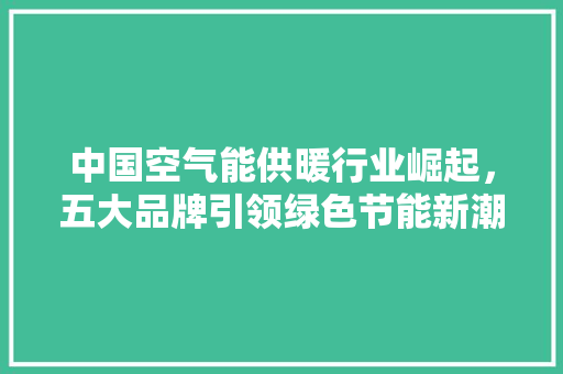 中国空气能供暖行业崛起，五大品牌引领绿色节能新潮流 家电维修