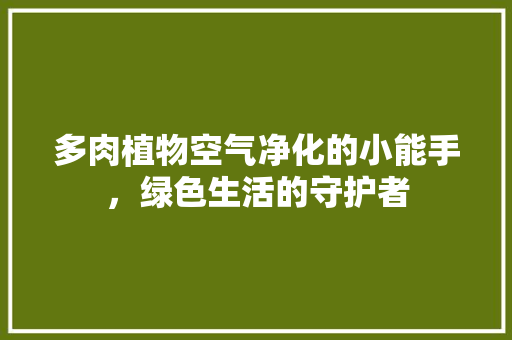 多肉植物空气净化的小能手，绿色生活的守护者