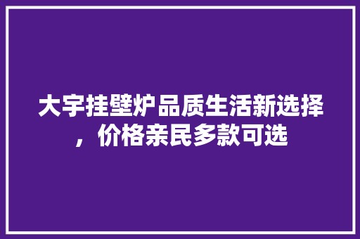 大宇挂壁炉品质生活新选择，价格亲民多款可选