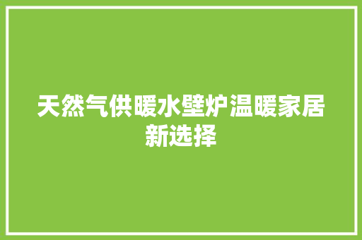 天然气供暖水壁炉温暖家居新选择 墙体维修