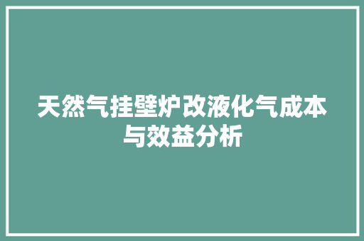 天然气挂壁炉改液化气成本与效益分析
