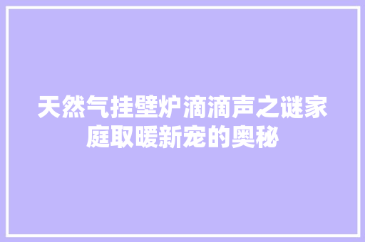 天然气挂壁炉滴滴声之谜家庭取暖新宠的奥秘
