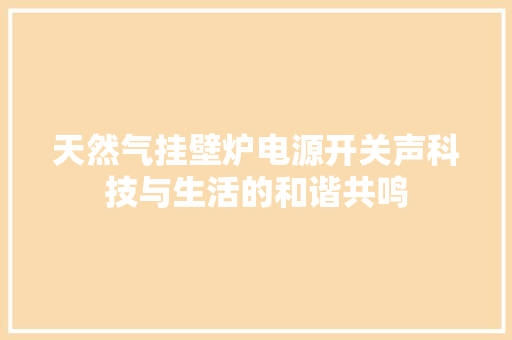 天然气挂壁炉电源开关声科技与生活的和谐共鸣