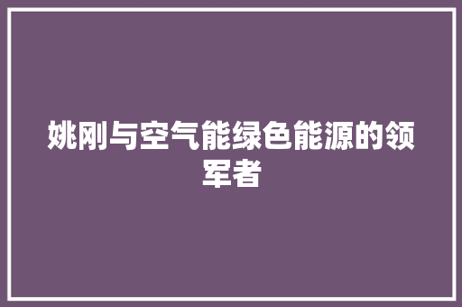 姚刚与空气能绿色能源的领军者