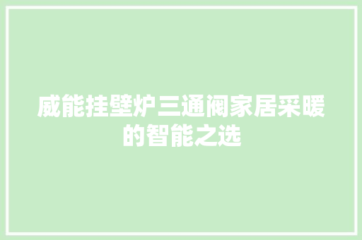 威能挂壁炉三通阀家居采暖的智能之选