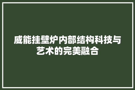威能挂壁炉内部结构科技与艺术的完美融合
