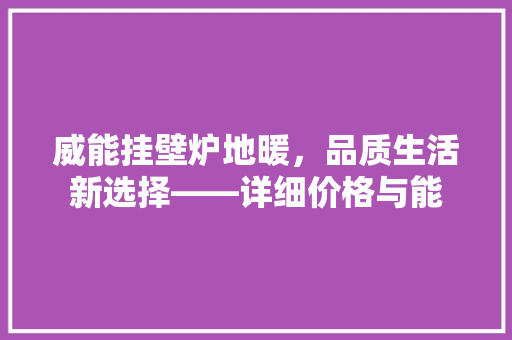 威能挂壁炉地暖，品质生活新选择——详细价格与能 家电维修
