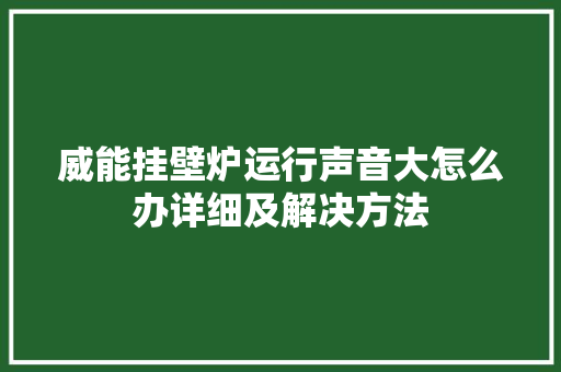 威能挂壁炉运行声音大怎么办详细及解决方法 家电维修