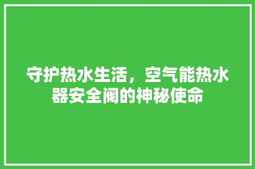 守护热水生活，空气能热水器安全阀的神秘使命