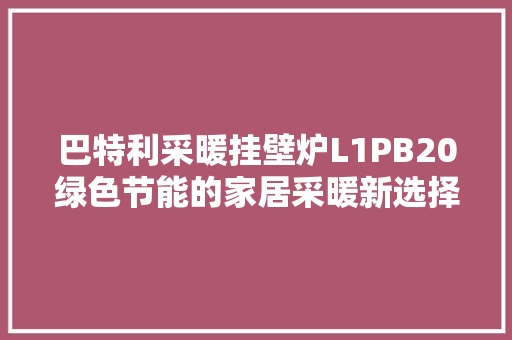 巴特利采暖挂壁炉L1PB20绿色节能的家居采暖新选择