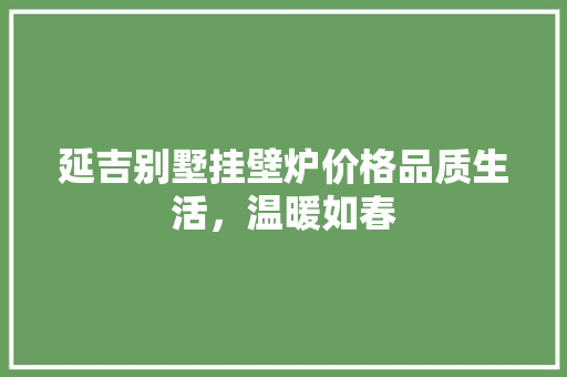 延吉别墅挂壁炉价格品质生活，温暖如春