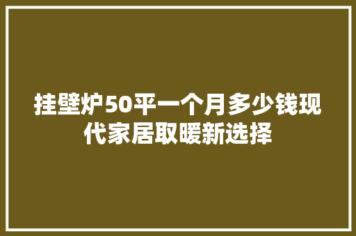 挂壁炉50平一个月多少钱现代家居取暖新选择