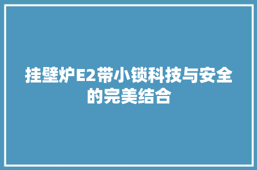 挂壁炉E2带小锁科技与安全的完美结合