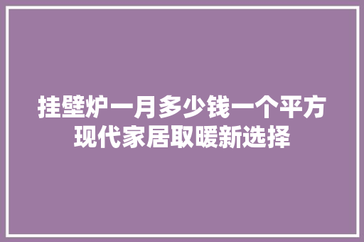 挂壁炉一月多少钱一个平方现代家居取暖新选择