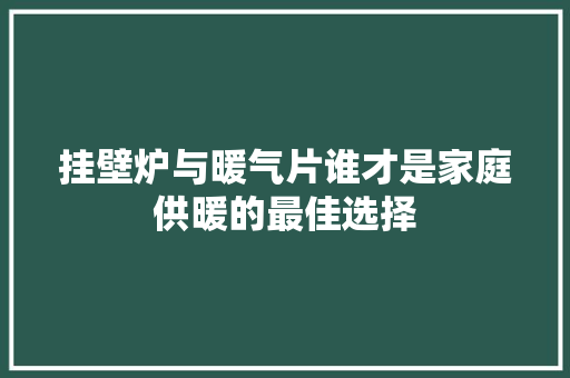 挂壁炉与暖气片谁才是家庭供暖的最佳选择