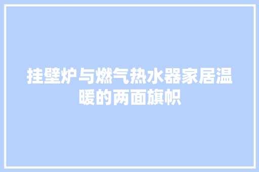 挂壁炉与燃气热水器家居温暖的两面旗帜