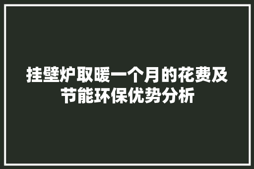 挂壁炉取暖一个月的花费及节能环保优势分析