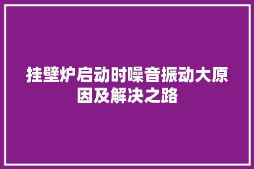 挂壁炉启动时噪音振动大原因及解决之路